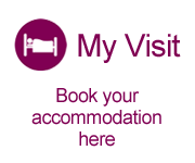 my visit advert