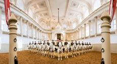 Spanish Riding School of Vienna